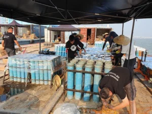 30th macao international fireworks display contest 2019 pyro technic transilvania 005